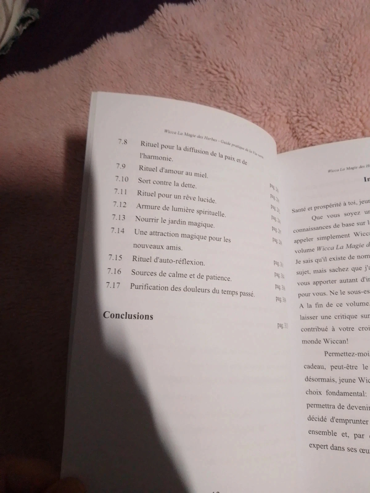 Wicca a magia das ervas volume 2 – photo 10